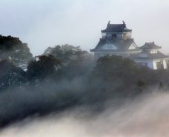 【恋愛ジンクス】福井県の人気の縁結び神社のご紹介